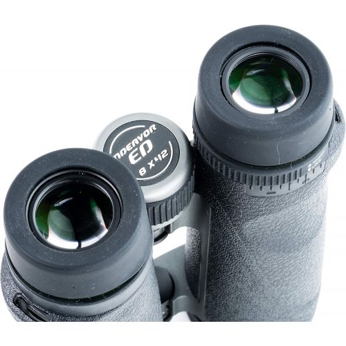 VANGUARD Endeavor ED 8x42 Binocular, ED Glass, Waterproof/Fogproof, Black (ENDEAVOR ED 8420)