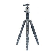 Vanguard VEO2GO235AB Aluminum Travel Tripod with Ball Head for Sony, Nikon, Canon, Fujifilm Mirrorless, Compact System Camera (CSC), DSLR