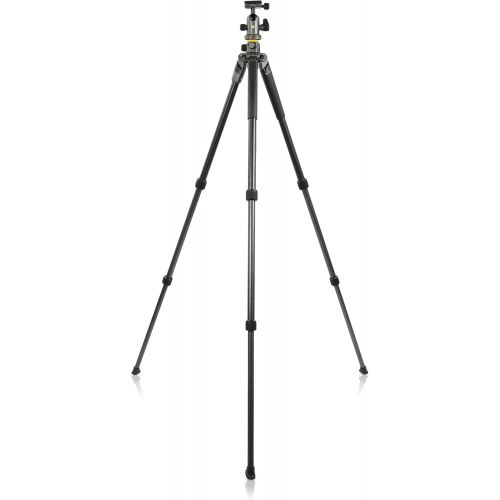  Vanguard Alta Pro 2+ 263CB 100 Carbon Fiber Tripod with Alta BH-100 Ball Head and Multi-Angle Center Column for Sony, Nikon, Canon DSLR Cameras