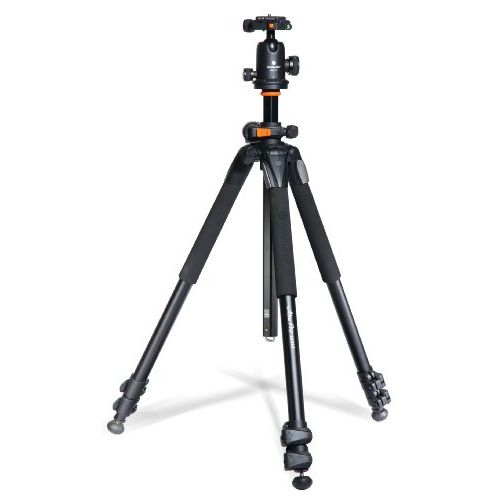  Vanguard Alta Pro 263AB 100 Aluminum Tripod with SBH-100 Ball Head for Sony, Nikon, Canon DSLR Cameras, Black