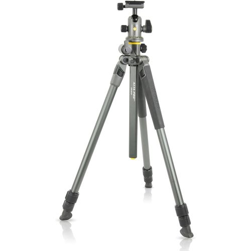  Vanguard Alta Pro 2+ 263AB 100 Aluminum Tripod with Alta BH-100 Ball Head and Multi-Angle Center Column for Sony, Nikon, Canon DSLR Cameras