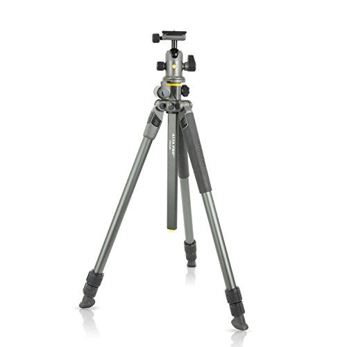  Vanguard Alta Pro 2+ 263AB 100 Aluminum Tripod with Alta BH-100 Ball Head and Multi-Angle Center Column for Sony, Nikon, Canon DSLR Cameras