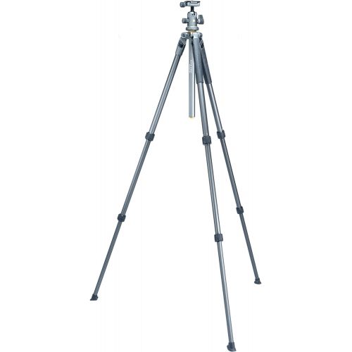  Vanguard Alta Pro 2 263AP Aluminum Tripod with Alta PH-32 Pan Head