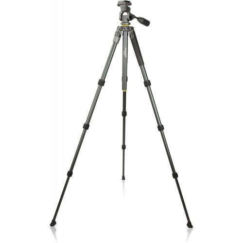  Vanguard Alta Pro 2 263AP Aluminum Tripod with Alta PH-32 Pan Head