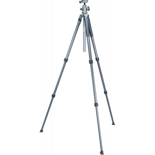  Vanguard Alta Pro 2 263AGH Aluminum Tripod with Alta GH-100 Grip Head