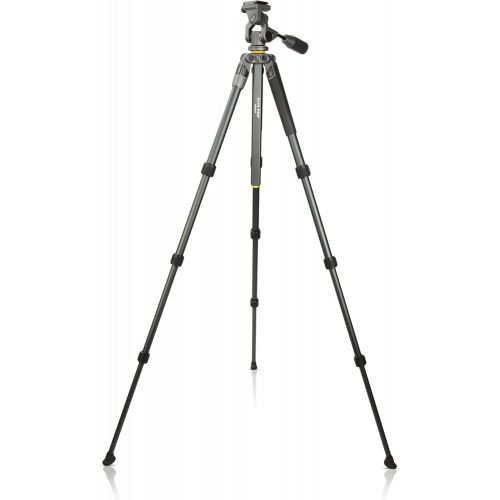  Vanguard Alta Pro 2 263AGH Aluminum Tripod with Alta GH-100 Grip Head