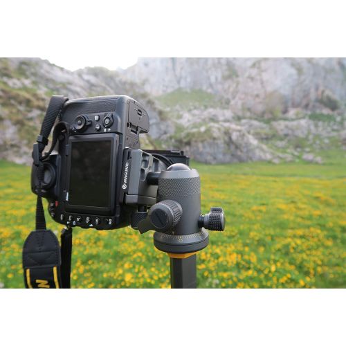  Vanguard Alta BH-250 Ball Head