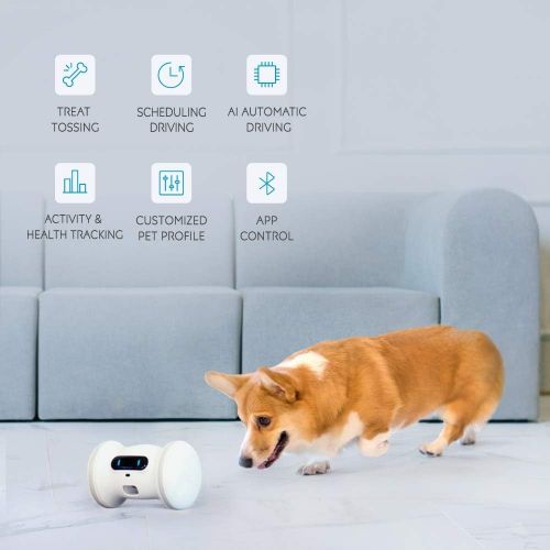  [아마존 핫딜] [아마존핫딜]VARRAM Pet Fitness Robot Full Package: Treat Tossing, Schedule Automatic Drives, Manual Play via App, Activity Tracking, Interactive Moving Toy for Cats & Dogs