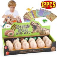 [아마존핫딜][아마존 핫딜] VATOS Dinosaur Eggs Dig Kit 12 Pack, Discover 12 Different Dinos, Archaeology & Paleontology Toy Stem Toys Educational Toys for 6, 7, 8, 9 Year Old Boys Girls Kids Gift
