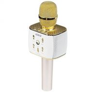 VERKB Wireless Karaoke Microphone, 5W×2 Speakers, 3 in 1 Portable Karaoke Machine for iPhone Android Smartphone Or PC, Party KTV or Gifts(Gold)