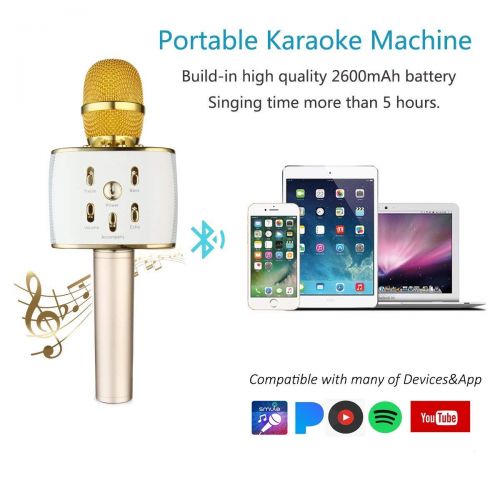  VERKB Wireless Karaoke Microphone, 5W×2 Speakers, 3 in 1 Portable Karaoke Machine for iPhone Android Smartphone Or PC, Party KTV or Gifts(Gold)