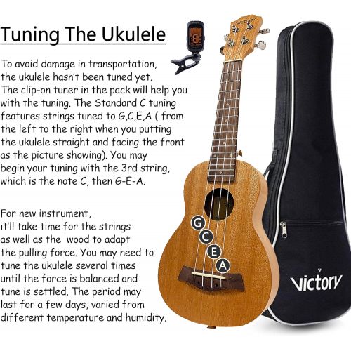  VIVICTORY Soprano Ukulele 21 Inch Mahogany Aquila String With Beginner Kit : Tuner, Gig Bag, Straps and Picks - Natural Color
