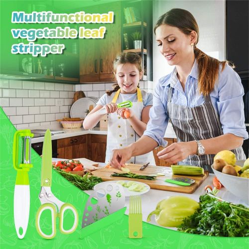  [아마존베스트]VIBIRIT Herb Scissors Leaf Herb Stripper, Stainless Steel 5 Blade Kitchen Scissors, for Mince Chicken, Poultry, Fish, Meat, Vegetables, Collard Greens, Parsley, Rosemary Herb | Dis