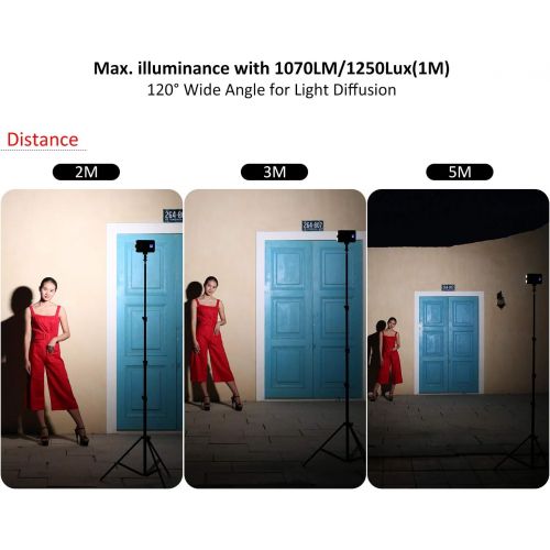  VILTROX VL-162T CRI95+ LED Video Light, Portable on Camera Photo Light Panel Dimmable for DSLR Camera Camcorder with Battery, High Brightness, 3300K-5600K Bi-Color, White Filter an