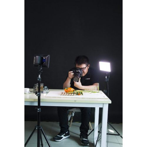  VILTROX L116T Key Light LED Video Light Panel,3300K-5600K Vlog Lighting, for Conference Live Broadcast Studio Photography Recording YouTube,with Battery