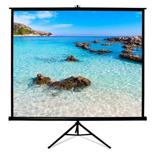 비보 Hamilton Buhl HamiltonBuhl TPS-T96-BLK 96 x 96 in. Square Format Projector Screen - Black