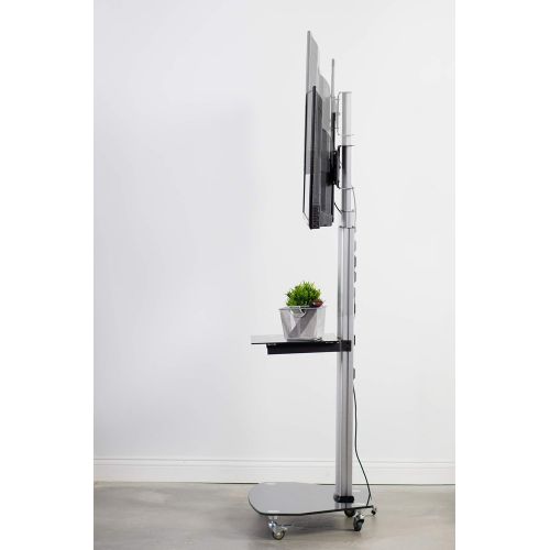 비보 VIVO Mobile TV Cart for 37 to 70 inch LCD LED Plasma Flat Panel Screens | Rolling TV Stand with Wheels (STAND-TV02D)