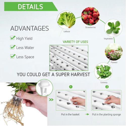  Visit the VIVOSUN Store VIVOSUN Hydroponic Grow Kit, 3 Layers 108 Plant Sites 12 PVC Pipes Hydroponics Growing System with Water Pump, Pump Timer, Nest Basket and Sponge for Leafy Vegetables