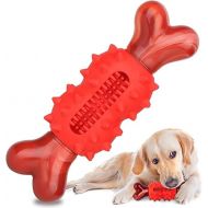 Dog Chew Toy for Aggressive Chewers, Nylon Dog Bone Toy for Large Medium Small Dogs, Interactive Dog Toys for Puppies Teething, Outdoor Dog Toys with Beef Smell