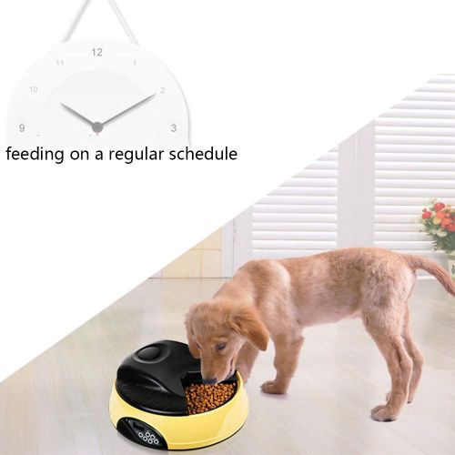  VVAP Automatic Dog Feeder 4 Meals Programmable Timer Pet Cat Puppy Animal Food Supplies Bowls Water Trays Container with LCD Display,Yellow