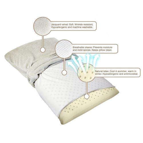  VViViD Ventilated Natural Latex Memory Foam Comfort Sleep Pillow w/Velour Slipcase