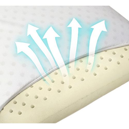  VViViD Natural Latex Comfort Sleep Ventilated Memory Foam Pillow w/Velour Pillow Case & Travel Bag