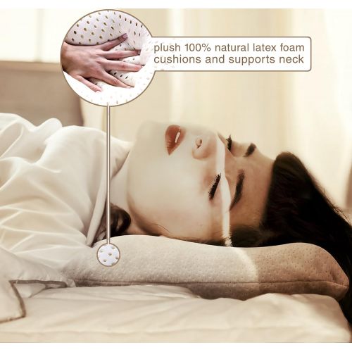  VViViD Natural Latex Comfort Sleep Ventilated Memory Foam Pillow w/Velour Pillow Case & Travel Bag
