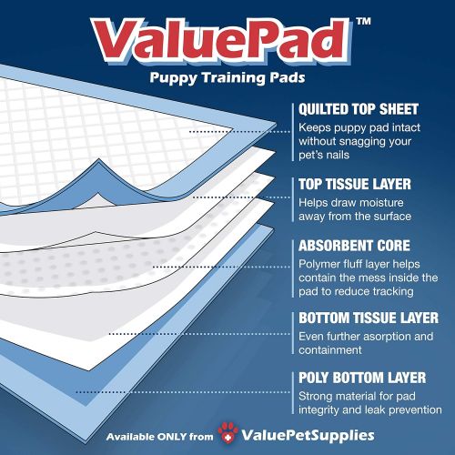  ValuePad Puppy Pads, Medium 23x24 Inch, 672 Count - Economy Training Pads for Dogs, Leak Resistant 5-Layer Design, Perfect for Puppies, Smaller Dogs & Even Litter Boxes