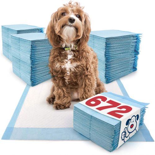  ValuePad Puppy Pads, Medium 23x24 Inch, 672 Count - Economy Training Pads for Dogs, Leak Resistant 5-Layer Design, Perfect for Puppies, Smaller Dogs & Even Litter Boxes