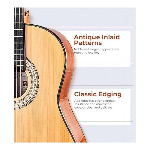  Classical Guitar 36