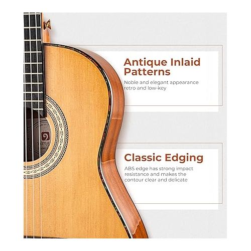  Classical Guitar Full Size 4/4 Spanish Style Classical Guitarra, 39 Inch Nylon Strings Guitar Ideal for Beginner Adults, Solid Cedar Top, by Vangoa