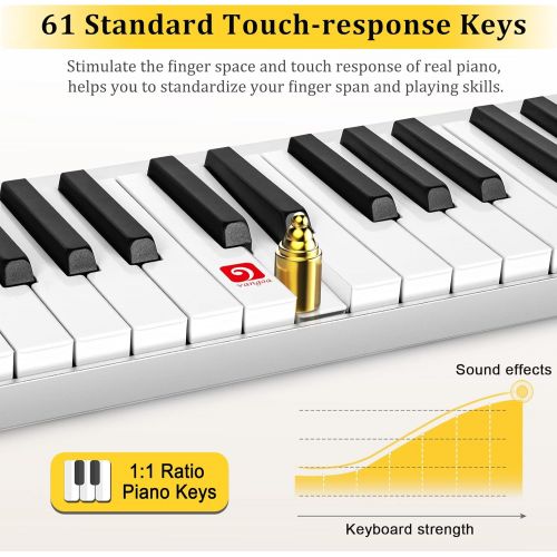  [아마존베스트]Vangoa Piano Keyboard, 61 Key Portable Electric Piano with Touch-response Full-size Keys, Lightweight Alumium Shell with Sustain Pedal, for Beginner Adults, Silver