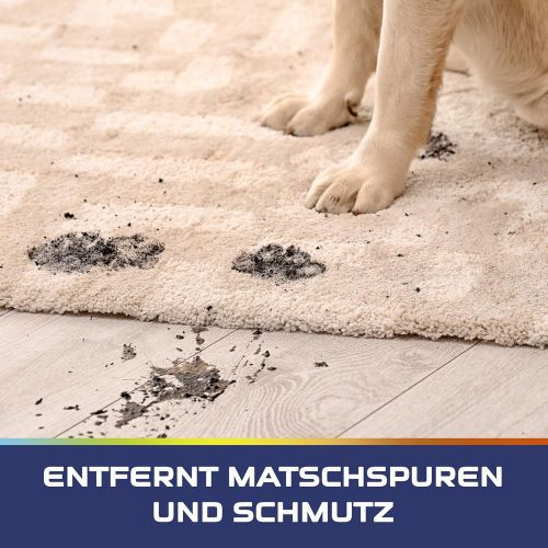  [아마존베스트]Vanish Pet Expert Carpet Cleaner, Carpet Care Powder Ideal for Large Areas, Repels Dirt, Pet Hair & Urine Odour, 1 x 750 g