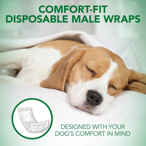  Vet's Best Vets Best Male Wraps for Dogs, Comfort-Fit Disposable, Small, 12 Count, 8 Pack