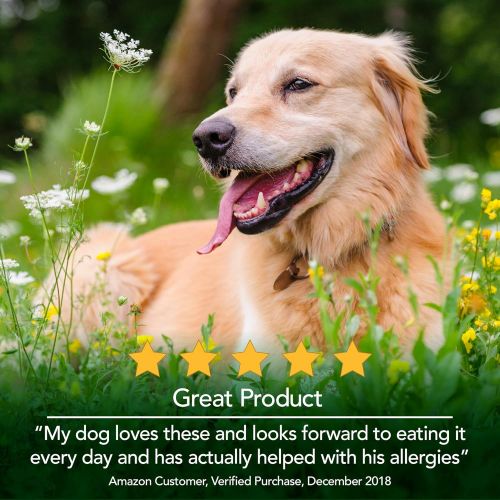  Vets Best Seasonal Allergy Soft Chew Dog Supplements | Soothes Dogs Skin Irritation Due to Seasonal Allergies