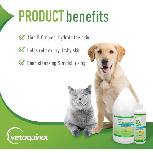  Vetoquinol Vet Solutions AloeOatmeal Shampoo for Cats & Dogs 16Oz