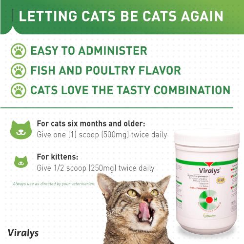  Vetoquinol Viralys L-Lysine Supplement for Cats - Cats & Kittens of All Ages - Immune Health - Sneezing, Runny Nose, Squinting, Watery Eyes - Flavored Lysine Powder