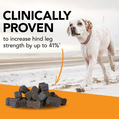  VetriScience Laboratories - Glycoflex 3 Hip & Joint Support for Dogs, with Glucosamine, DMG, MSM & Green Lipped Mussel. 120 Bite Sized Chews