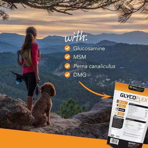  VetriScience Laboratories - Glycoflex 3 Hip & Joint Support for Dogs, with Glucosamine, DMG, MSM & Green Lipped Mussel. 120 Bite Sized Chews