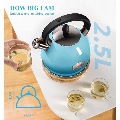  VICALINA Tea Kettle & Tea Pot, Stainless Steel Tea Kettle for Stove top, 2.64 Quart Whistling Loud Tea Kettles (Polished Light Blue)