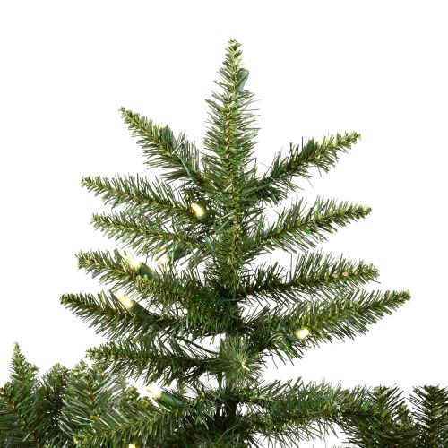  Vickerman 6.5 Camdon Fir Artificial Christmas Tree with 600 Warm White LED Lights