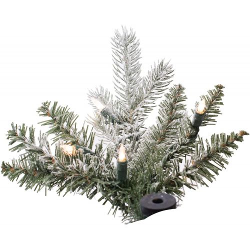  Vickerman A167971LED Frosted Tannenbaum 300LED Christmas Tree, 7 x 25