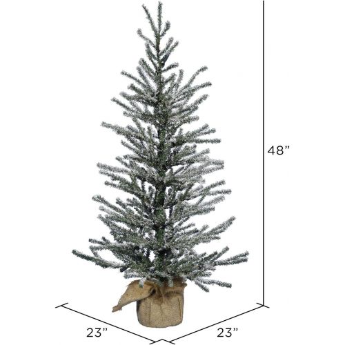  Vickerman B165141LED Frosted Angel Pine Artificial Christmas Tree with 1011 PVC tips & 70 Dura-Lit Italian LED Mini Lights, 48 x 23, Warm White