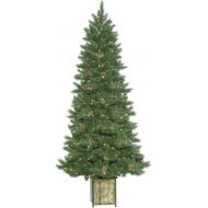 Vickerman Potted Newfield Fir Christmas Tree