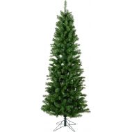 Vickerman Salem Pencil Pine Tree with 679 Tips, 7.5-Feet by 36-Inch