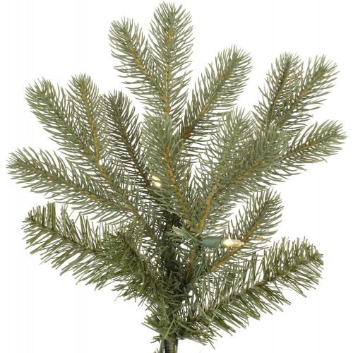  Vickerman Pre-Lit Frasier Fir Tree with 500 Warm White Italian LED Lights, 6.5-Feet, Green