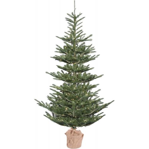  Vickerman Alberta Spruce Christmas Tree