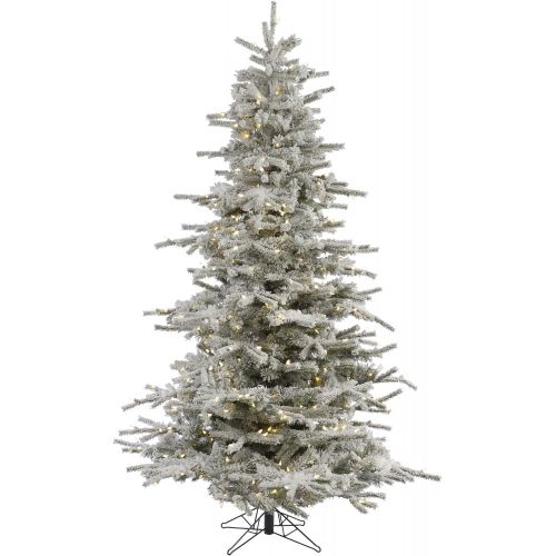  Vickerman Pre-Lit Flocked Sierra Tree with 400 Warm White Italian LED Lights, 6.5-Feet, Flocked White on Green