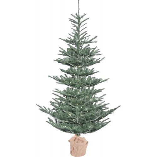  Vickerman Alberta Blue Spruce Christmas Tree