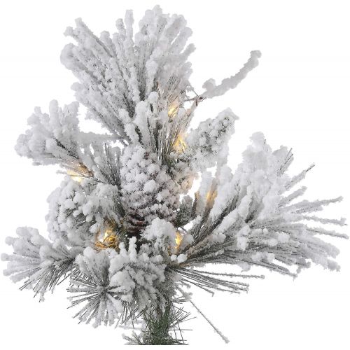  Vickerman Flocked Alberta Artificial Christmas Tree with Artificial Pine Cones and 150 Clear Lights, 3.5 x 35